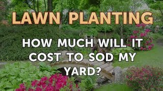 How Much Will It Cost to Sod My Yard [upl. by Ttiwed]