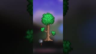 3 Terraria Seeds You Should Try [upl. by Alamap]