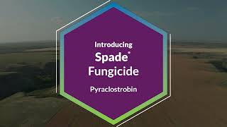 Spade® Fungicide [upl. by Ogilvy952]