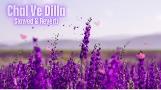 Chal Ve Dilla  Slowed amp Reverb [upl. by Hanej]