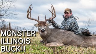 MONSTER Illinois Buck  November Bow Hunting Action [upl. by Yahiya]