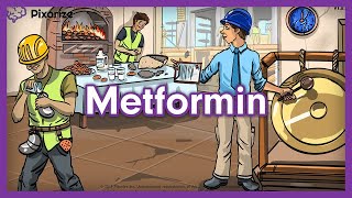 Metformin USMLE Mnemonic [upl. by Raymonds]