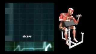 Exercicios Ombro para pacientes com Artrite AcromioClavicular [upl. by Rramed]