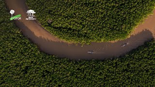 Mangrove restoration for all [upl. by Aennyl]