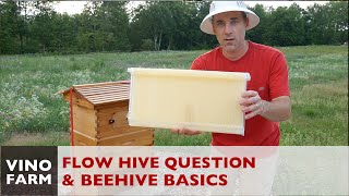 Flow Hive Reality  Where are the Flow Frames  Beekeeping 101 [upl. by Adal]