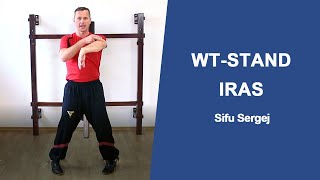 3 Fehler im Wing Tsun Stand quotIRASquot [upl. by Dido]