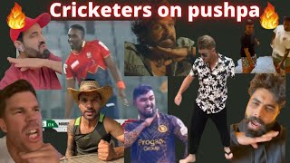 Pushpa mania on cricketers over the globe pushpa fire [upl. by Wakeen]