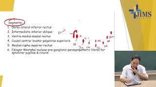 Topic  Oculomotor Nerve [upl. by Birkett668]