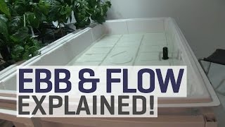 Ebb and Flow Hydroponics Explained [upl. by Cohen338]