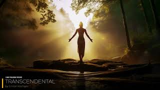 Emran Kochiyev  Transcendental Tranquil Ethereal Mindfulness Music [upl. by Filahk659]