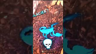 Glacier scorpion ☠️🥶trollface [upl. by Aitnic]