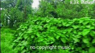 Background music  no copyright music Nocopiright [upl. by Niattirb]