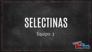 Selectinas [upl. by Janela582]