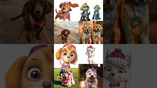 Paw patrol In Real Life pawpatrol shorts [upl. by Latin890]