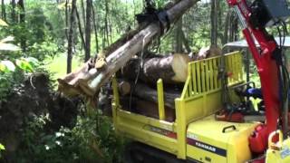 Transporteur C30R Yanmar avec Chargeuse Woody [upl. by Adyam233]