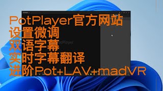 PotPlayer设置 [upl. by Kyl]