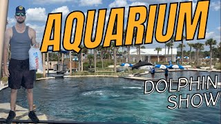 Visiting NORTH FLORIDA’S smallest AQUARIUM DOLPHIN SHOW [upl. by Aplihs707]