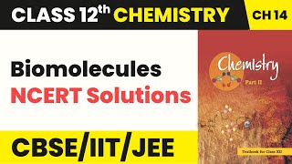 Class 12 Chemistry Chapter 14  Biomolecules  NCERT Solutions 202223 [upl. by Bearnard207]