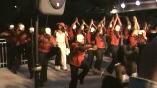 Delta Sigma Theta Lambda Psi 2010 Probate Part 6 [upl. by Hanna]