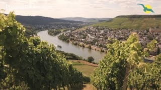 🍇Flusskreuzfahrt auf RHEIN und MOSEL  Weinzauber mit MS ALENA I Phoenix Reisen TV 90 Teil 2 [upl. by Souza]