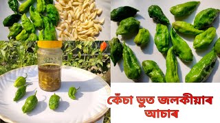 কেঁচা ভোট জলকীয়াৰ আচাৰ  Green Ghost chilli pickle  Bhut Jolokia Achaar Recipe [upl. by Elysha]