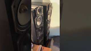 Paradigm 100v5 playing Us by Snavs audio music hifi audiophile [upl. by Leatrice]