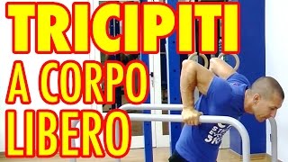 I MIGLIORI ESERCIZI PER TRICIPITI A CORPO LIBERO PER IL TUO ALLENAMENTO [upl. by Ellekcir]