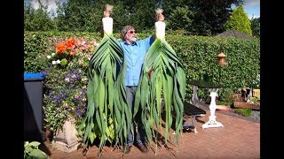 Pot Leeks Growin for Showin Derek Wilton Part 1 [upl. by Sculley]