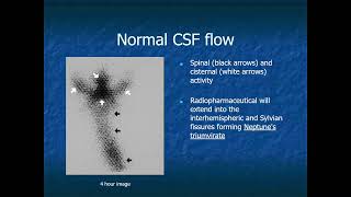 RADIOLOGY EXAM CASES [upl. by Puri]