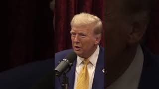 Donald Trump asks Joe Rogan about Bo Nickal’s next fight at UFC309 in November [upl. by Rozek58]