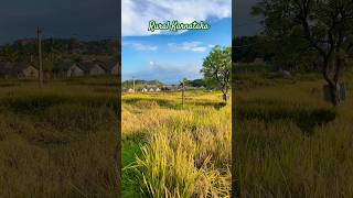 Rural Karnataka paddyfields river landscape hampi canal trekking rurallife karnataka songs [upl. by Allveta436]