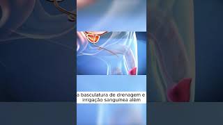 CIRURGIA DE MUDANÇA DE SEXO medicina shorts [upl. by Htur809]