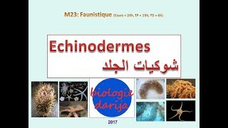 Echinodermes sv3 شوكيات الجلد [upl. by Soelch84]