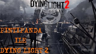 PİNTİPANDA İLE DYİNG LİGHT 2  pintipandaYT [upl. by Alag]