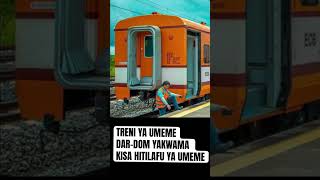 TRENI YA UMEME DAR  DOM YAKWAMA KISA HITILAFU YA UMEME [upl. by Pavlov521]