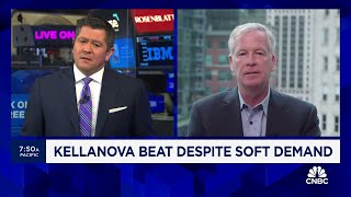 Kellanova CEO Steve Cahillane Our focus is on affordability [upl. by Alyak]