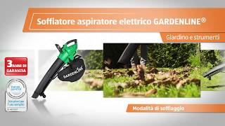 Soffiatore aspiratore elettrico [upl. by Prud]