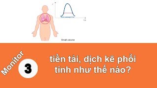 PiCCO phần 2 Tính toán tiền tải dịch ngoài mạch máu phổi [upl. by Yadahs]