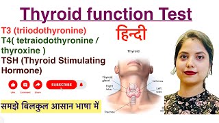 Thyroid Function Test in Hindi  T3  T4  TSH  Hindi  Biochemistry  MLT [upl. by Ahtoelc]