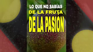 ESTOS SON LOS BENEFICIOS QUE NO CONOCÍAS DE LA FRUTA DE LA PASIÓN O MARACUYÁ shorts [upl. by Vassell]