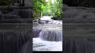 waterfall status waterfalllovers waterfall viral nature trending youtube shorts trending [upl. by Jaddan]