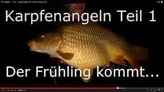 Erfolgreiche Karpfensession im Frühjahr [upl. by Verla151]