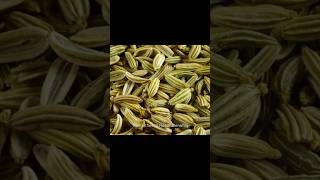 What Are the Effects of Consuming Fennel Seeds Daily [upl. by Ocramed400]