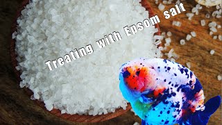 Epsom salt and goldfish Back to basics [upl. by Brout]