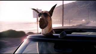 Marmaduke  Teaser Trailer HD  20th Century FOX [upl. by Keyek]