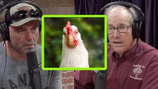 Joel Salatin Ending Monocrops Repurposing Waste and Feeding Millions [upl. by Adnilemreh]