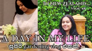 ගෙදර බඩුත් නෑ කට්ලට් හැදුවා සුපිරි gardening vlog එකක්  සිංහල VLOG 48 New Zealand  Sinhala vlog [upl. by Odlawso228]