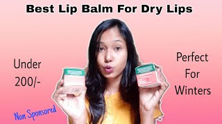 Best Lip Balm For Dry Lips  Perfect for Winters [upl. by Alfie77]