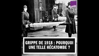 Grippe de 1918  pourquoi une telle hécatombe [upl. by Akkinahs]