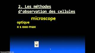 Les différentes cellules [upl. by Nosaes]